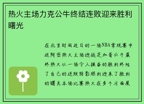 热火主场力克公牛终结连败迎来胜利曙光