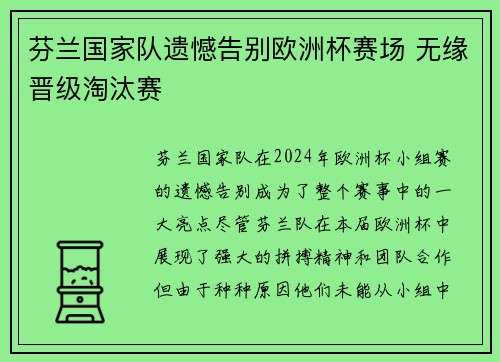 芬兰国家队遗憾告别欧洲杯赛场 无缘晋级淘汰赛