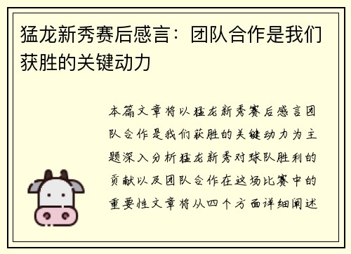 猛龙新秀赛后感言：团队合作是我们获胜的关键动力